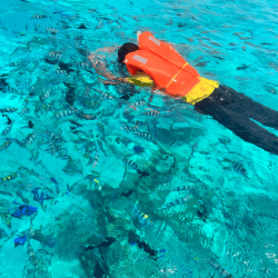 Snorkelling in Africa