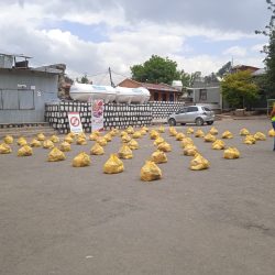 IMG_20220501_105514_1